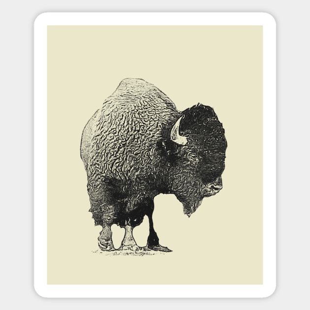 Bison Sticker by Guardi